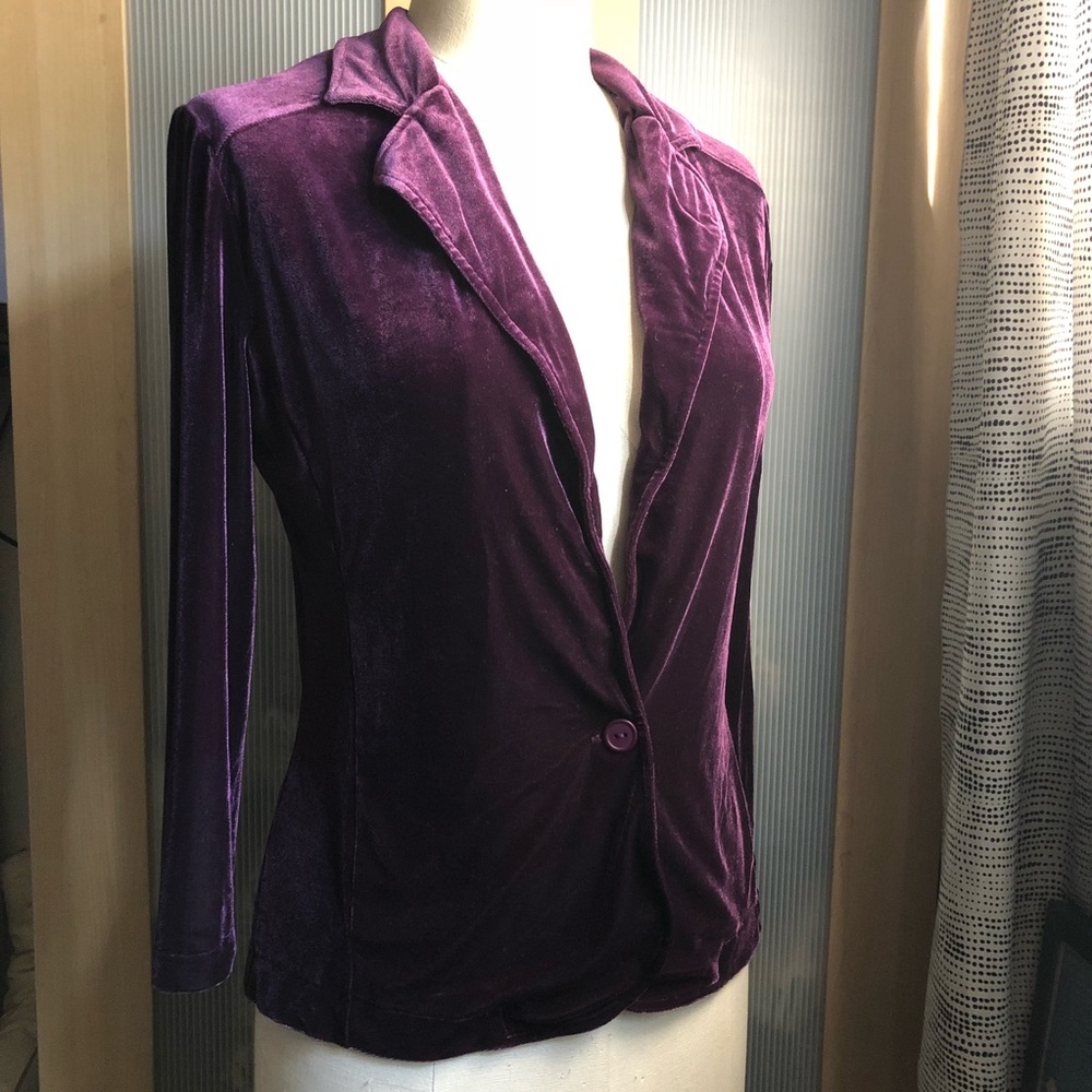 Velvet Plum Blazer just for the Holidays